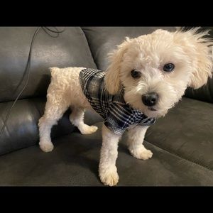 NEW DOG FLANNEL SHIRT TSHIRT TOP OUTFIT PLAID BUTTON UP COSTUME STYLISH FASHION